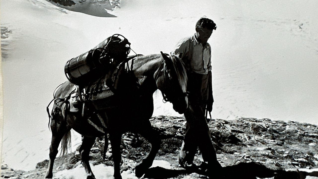 Transporting Shell Butagaz to alpine hut Diavolezza ca. 1950