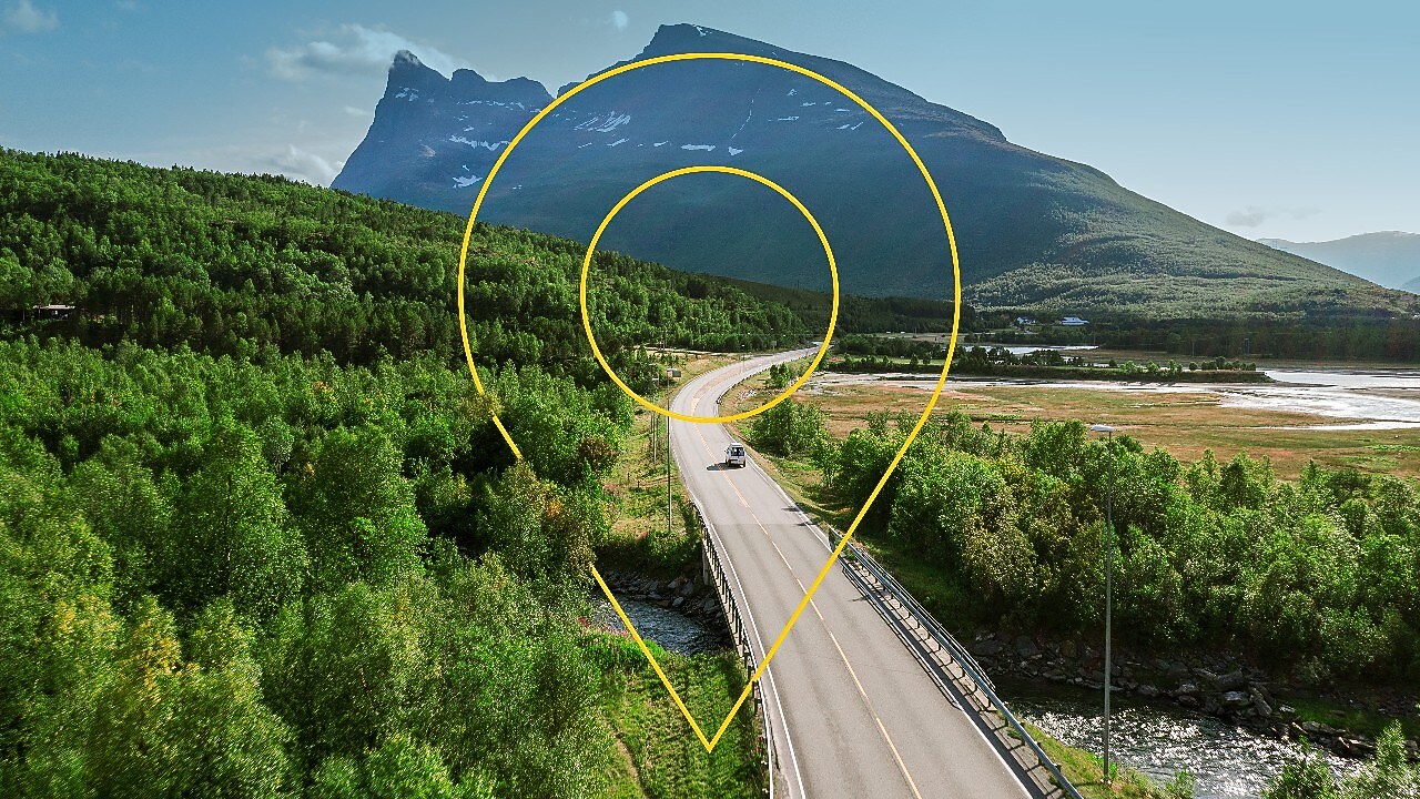 Eine Straße führt durchs Grün