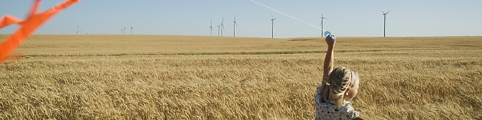 Vers la neutralité carbone