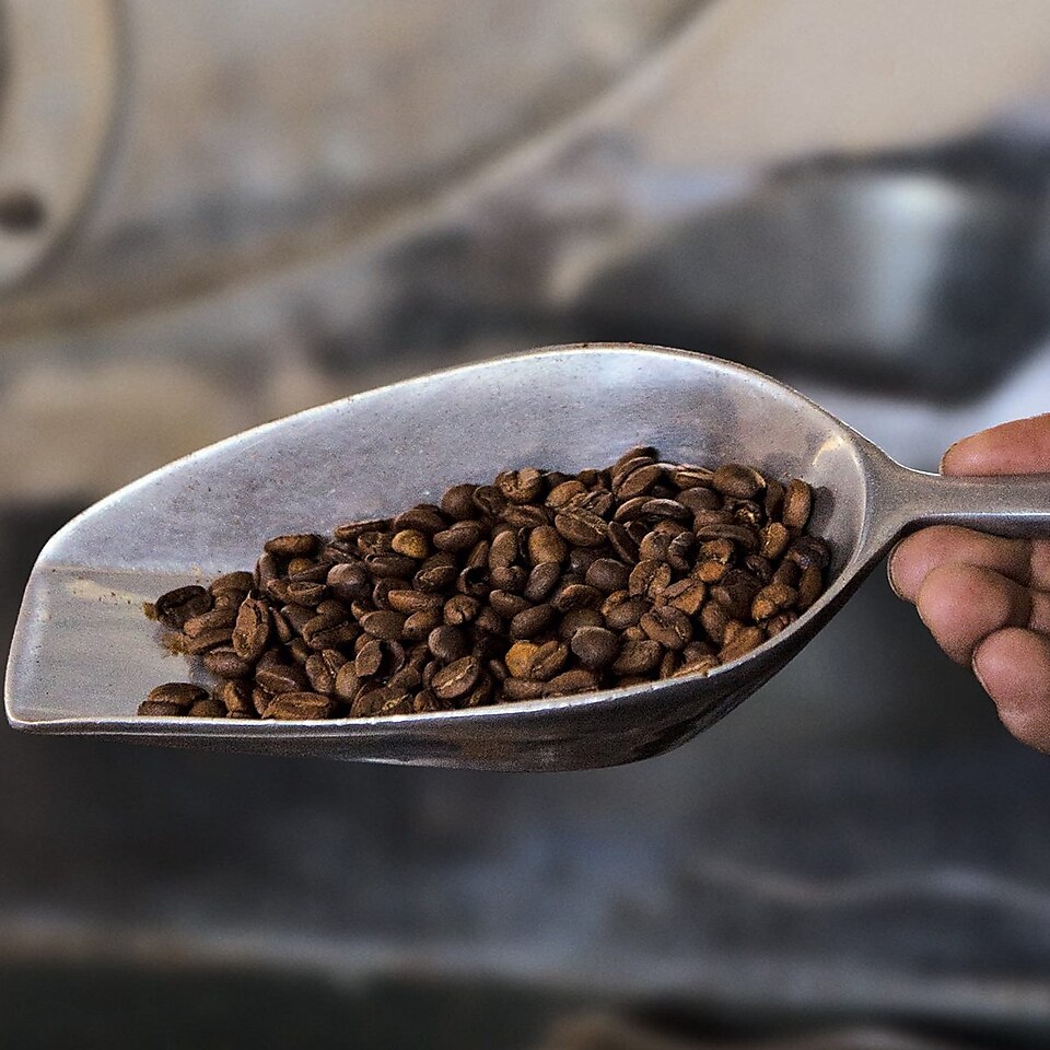 metal shovel with coffee beans