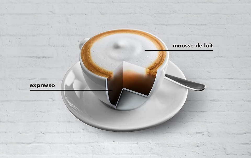 cappuccino-cup-with-ingrediants-information.jpeg